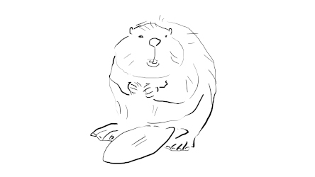 Beaver Beaver